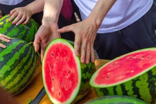 呼市大学免费吃瓜的群,夏日清凉福利大放送!” 第2张 呼市大学免费吃瓜的群,夏日清凉福利大放送!” 第2张