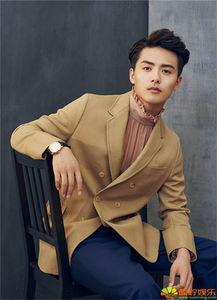 娱乐爆料马天宇,揭秘明星背后的故事  第3张